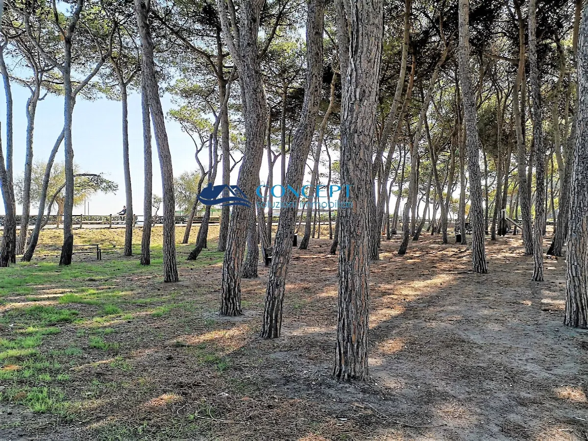 Appartamento in vendita a Alba Adriatica - foto 7