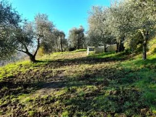 Appartamento in vendita a Montopoli in Val d'Arno, Marti - foto 10