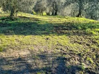 Appartamento in vendita a Montopoli in Val d'Arno, Marti - foto 7