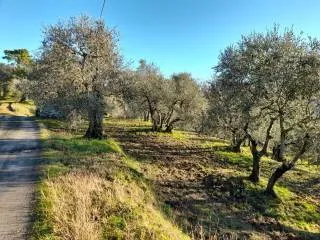 Appartamento in vendita a Montopoli in Val d'Arno, Marti - foto 8