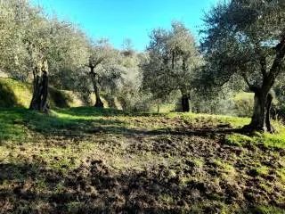 Appartamento in vendita a Montopoli in Val d'Arno, Marti - foto 9