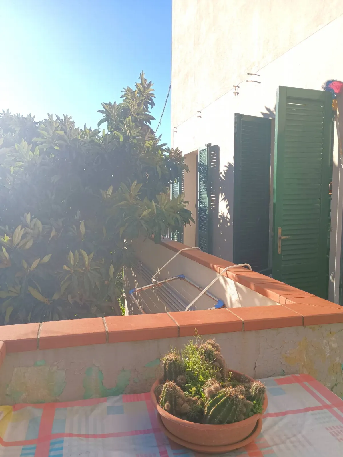 Appartamento in vendita a Calci, Castel Maggiore - foto 4