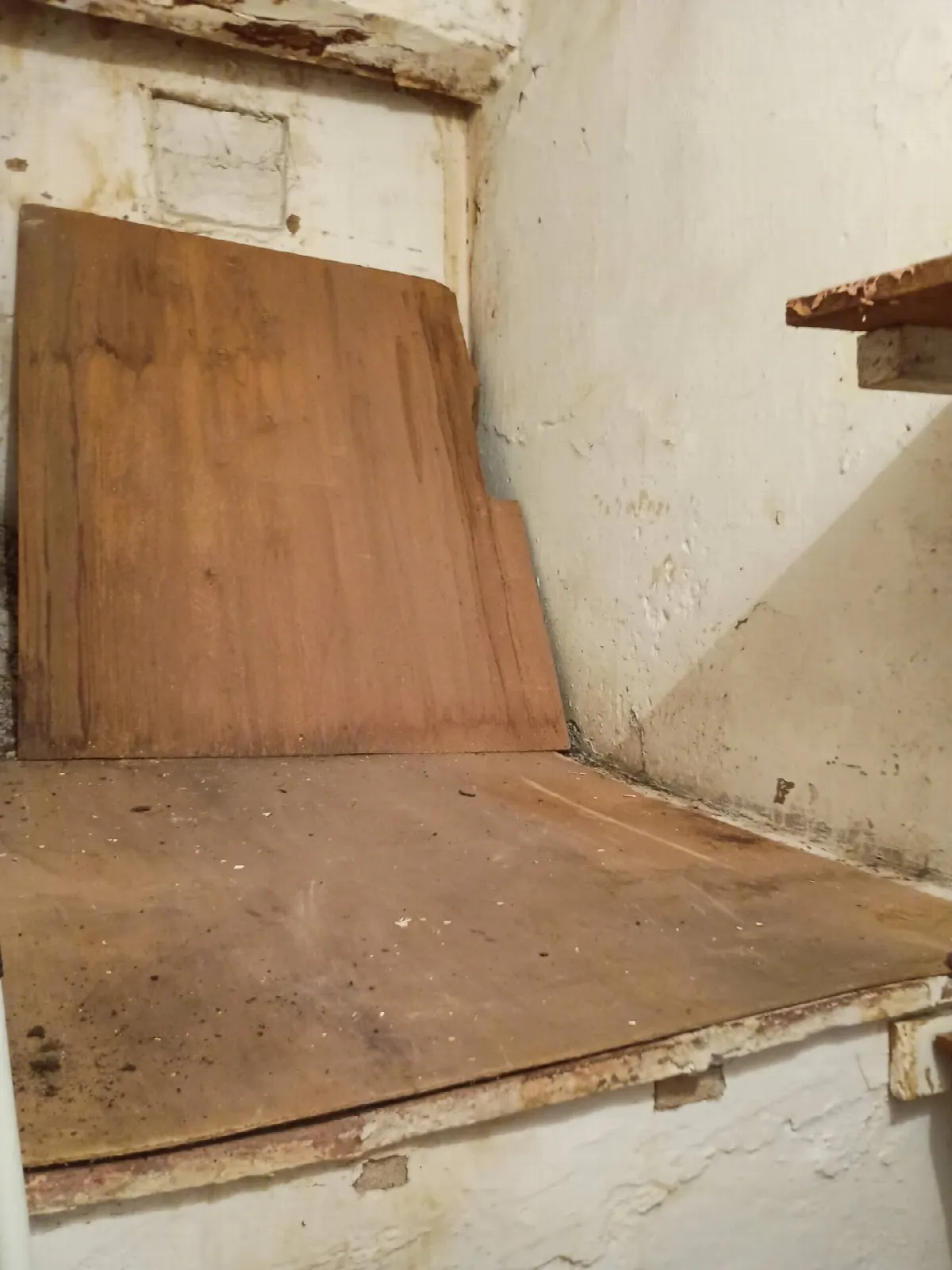 Appartamento in vendita a Terricciola - foto 5