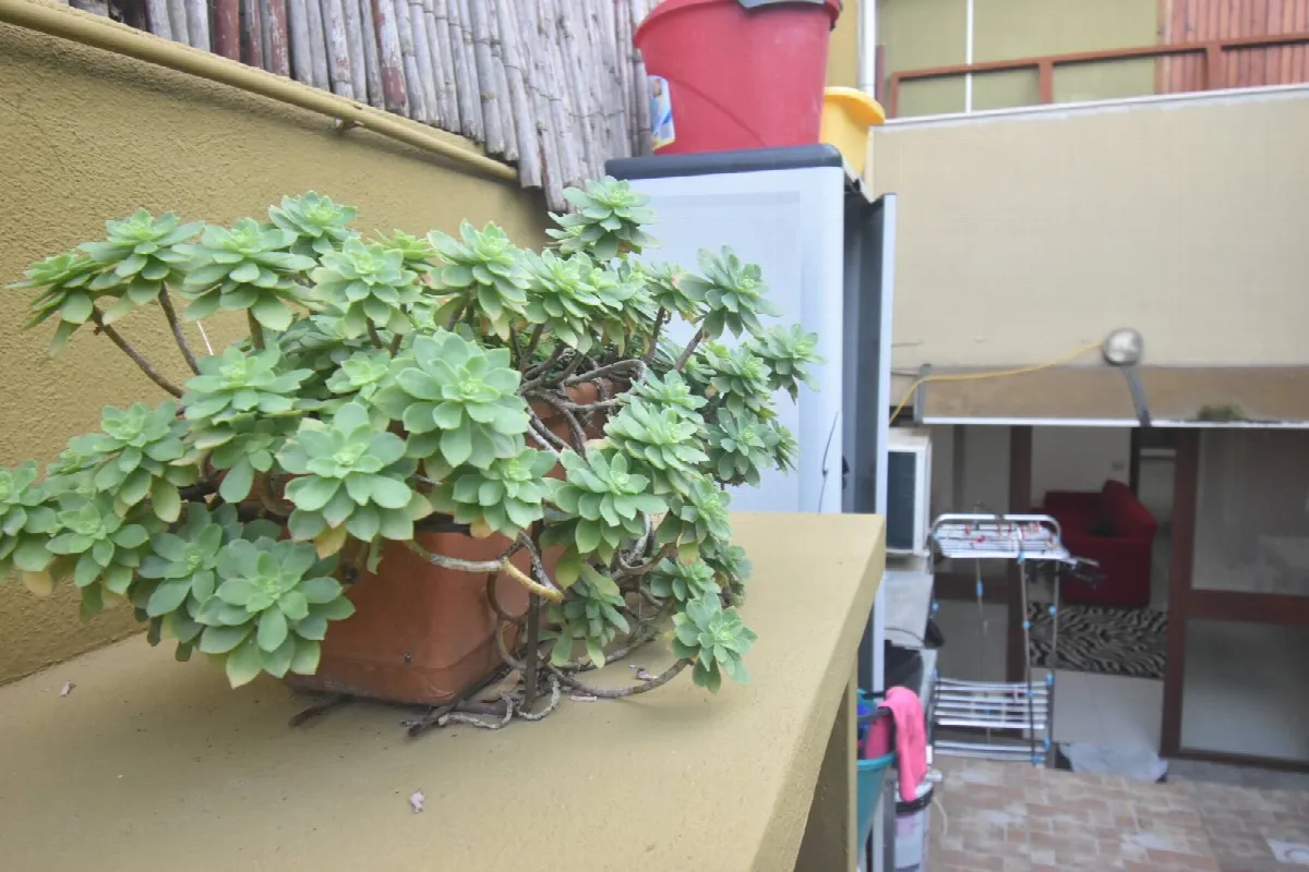 Appartamento in vendita a Quartu Sant'Elena - foto 3