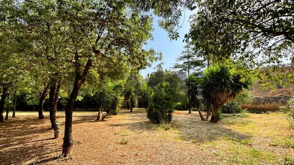 Appartamento in vendita a Palermo, Cruillas - foto 6