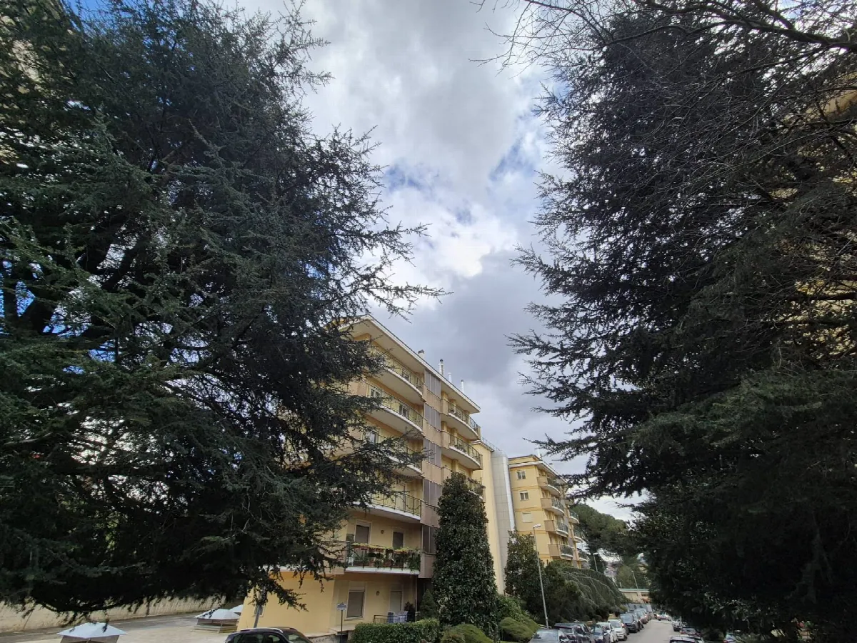 Appartamento in vendita a Avellino, Via Tagliamento - foto 2