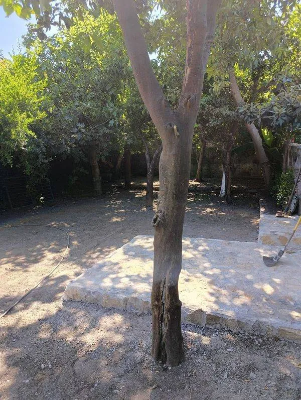 Appartamento in vendita a Nocera Inferiore - foto 1