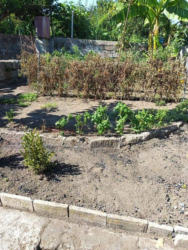 Appartamento in vendita a Nocera Inferiore - foto 5