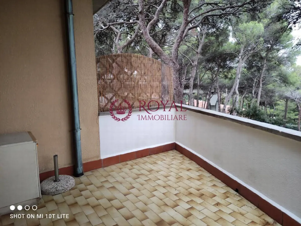 Appartamento in vendita a Rosignano Marittimo, Castiglioncello - foto 8