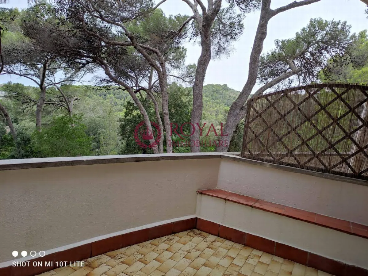 Appartamento in vendita a Rosignano Marittimo, Castiglioncello - foto 9