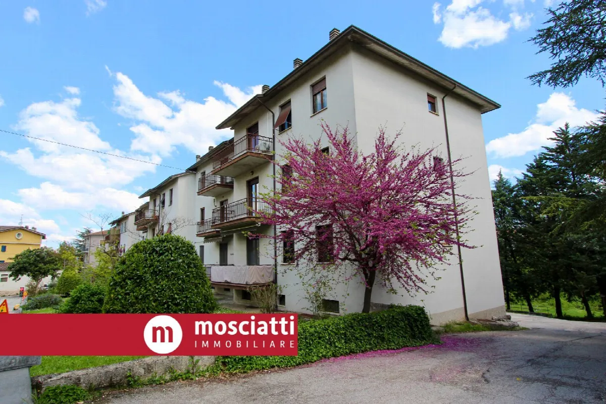 Appartamento in vendita a Matelica - foto 2