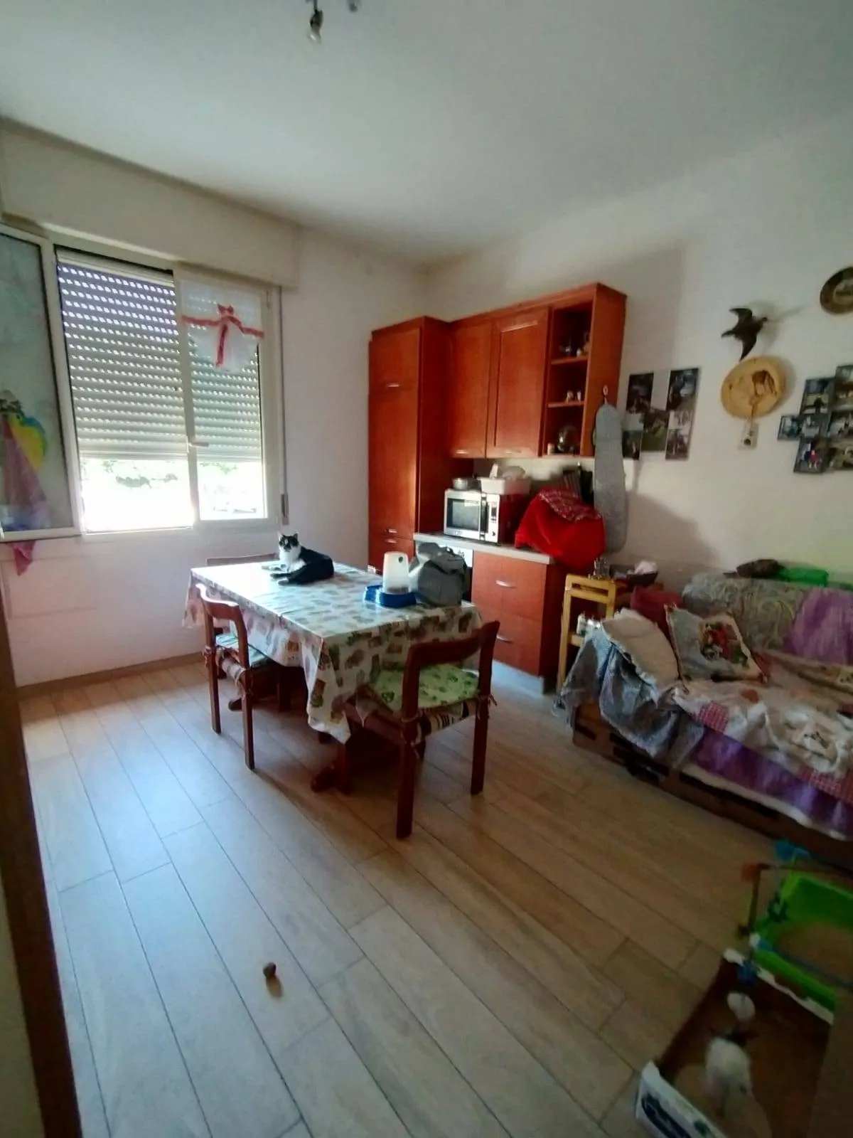 Appartamento in affitto/vendita a Brisighella, Zattaglia - foto 4
