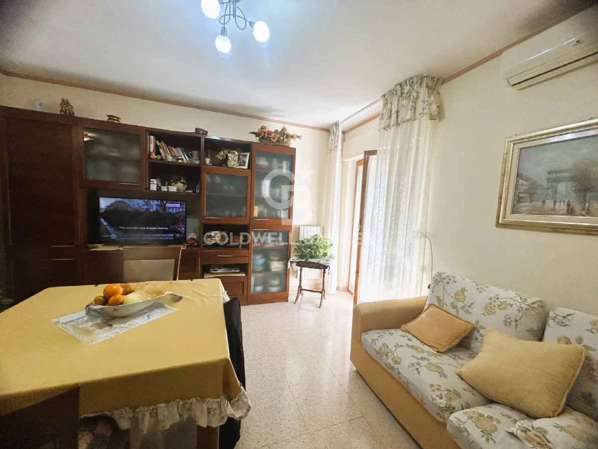 Appartamento in vendita a Bisceglie - foto 4