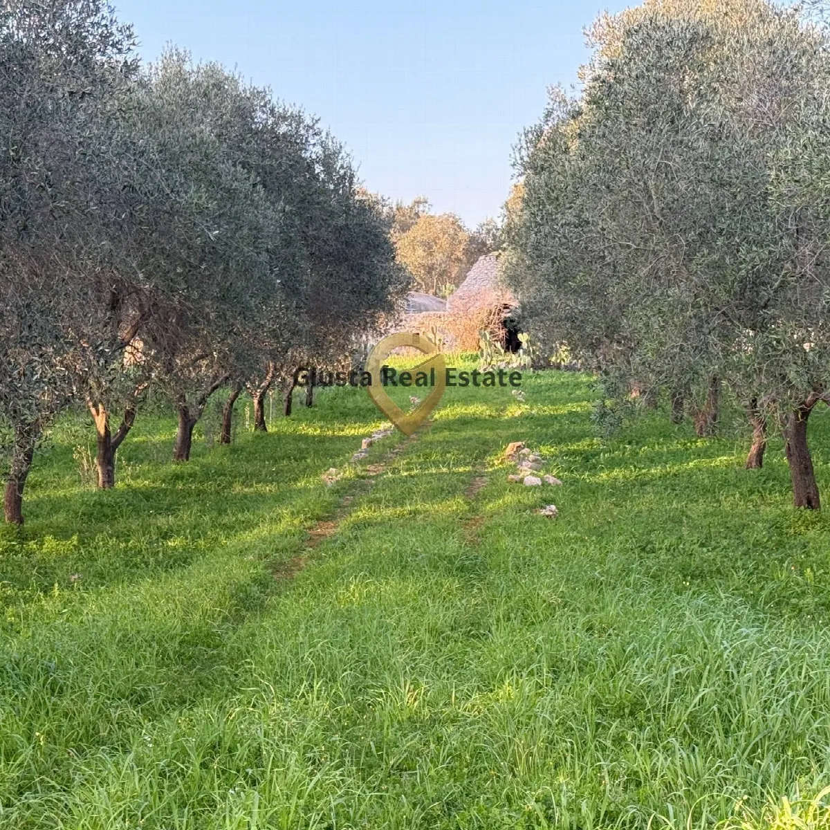 Baita/Chalet/Trullo in vendita a San Michele Salentino - foto 4