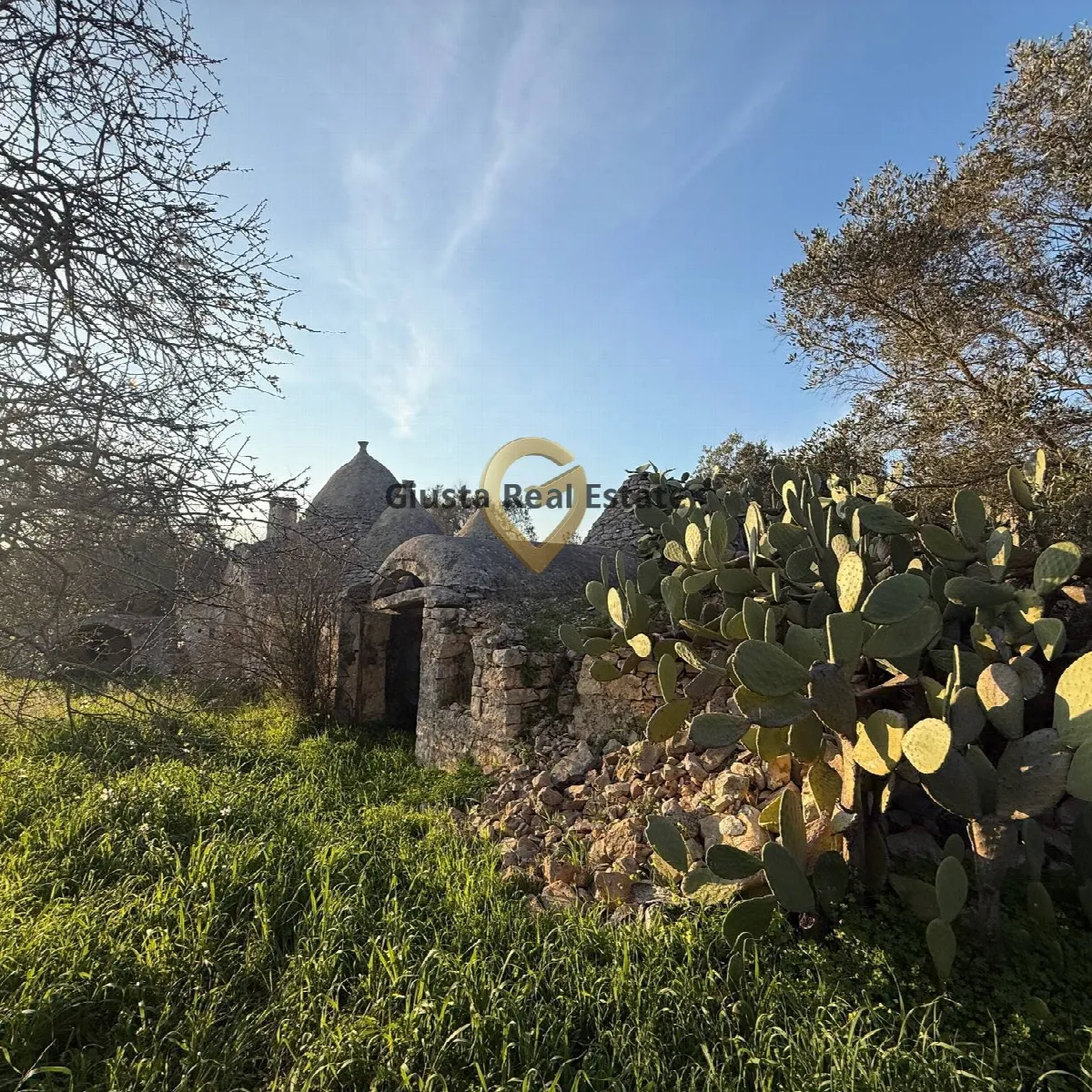 Baita/Chalet/Trullo in vendita a San Michele Salentino - foto 5