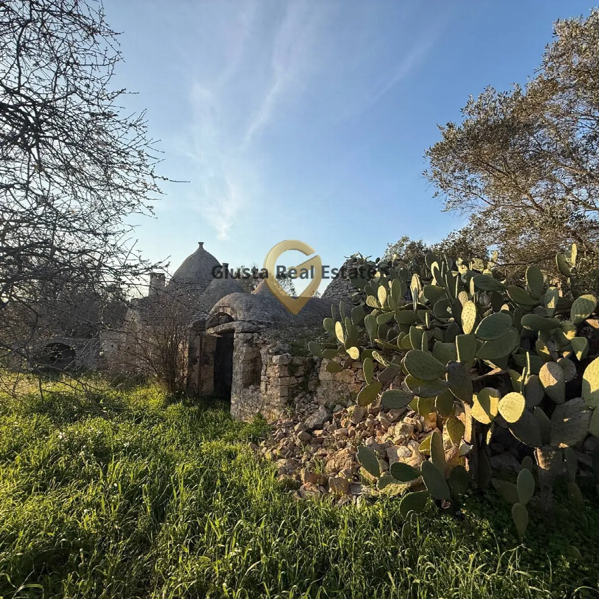 Baita/Chalet/Trullo in vendita a San Michele Salentino - foto 6