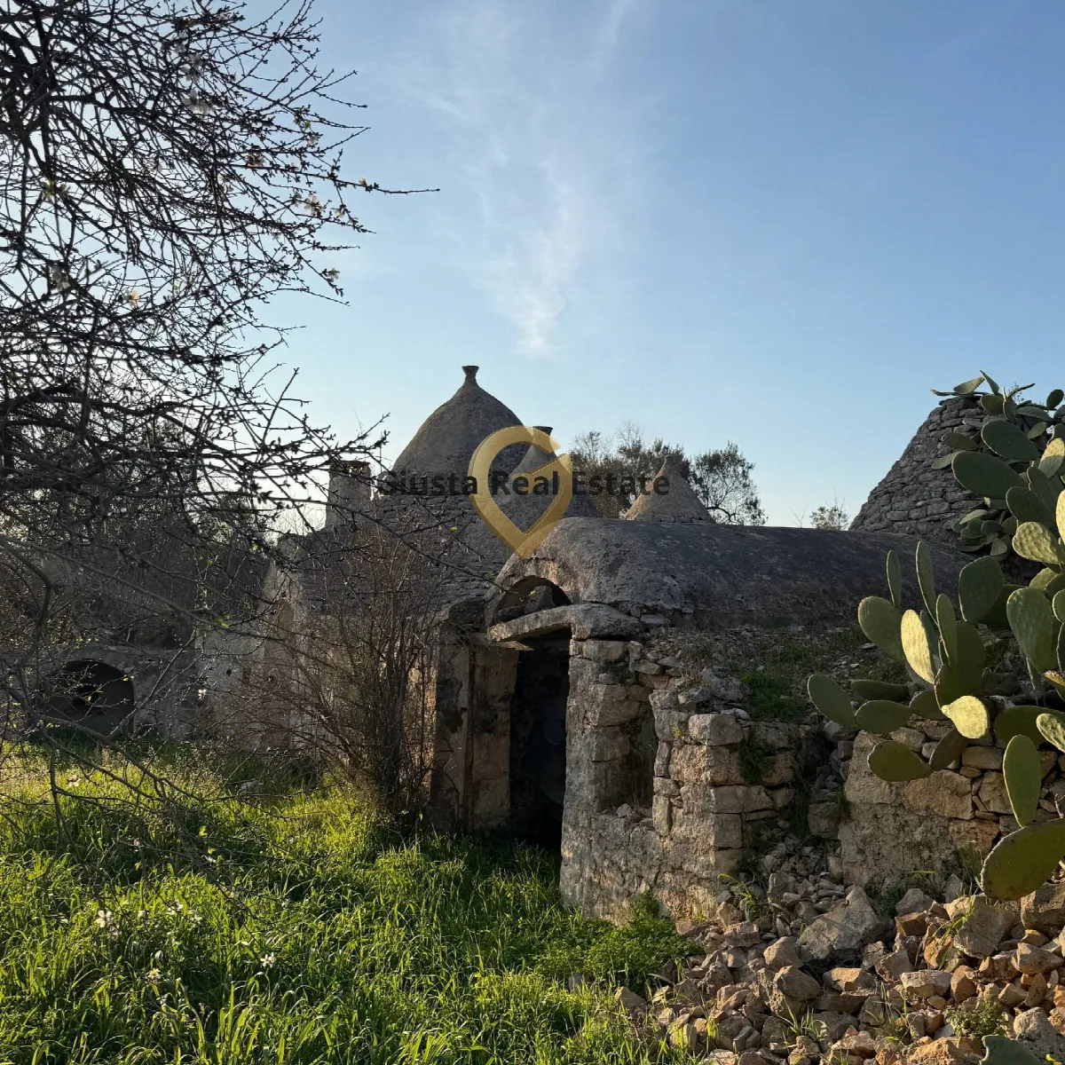 Baita/Chalet/Trullo in vendita a San Michele Salentino - foto 7