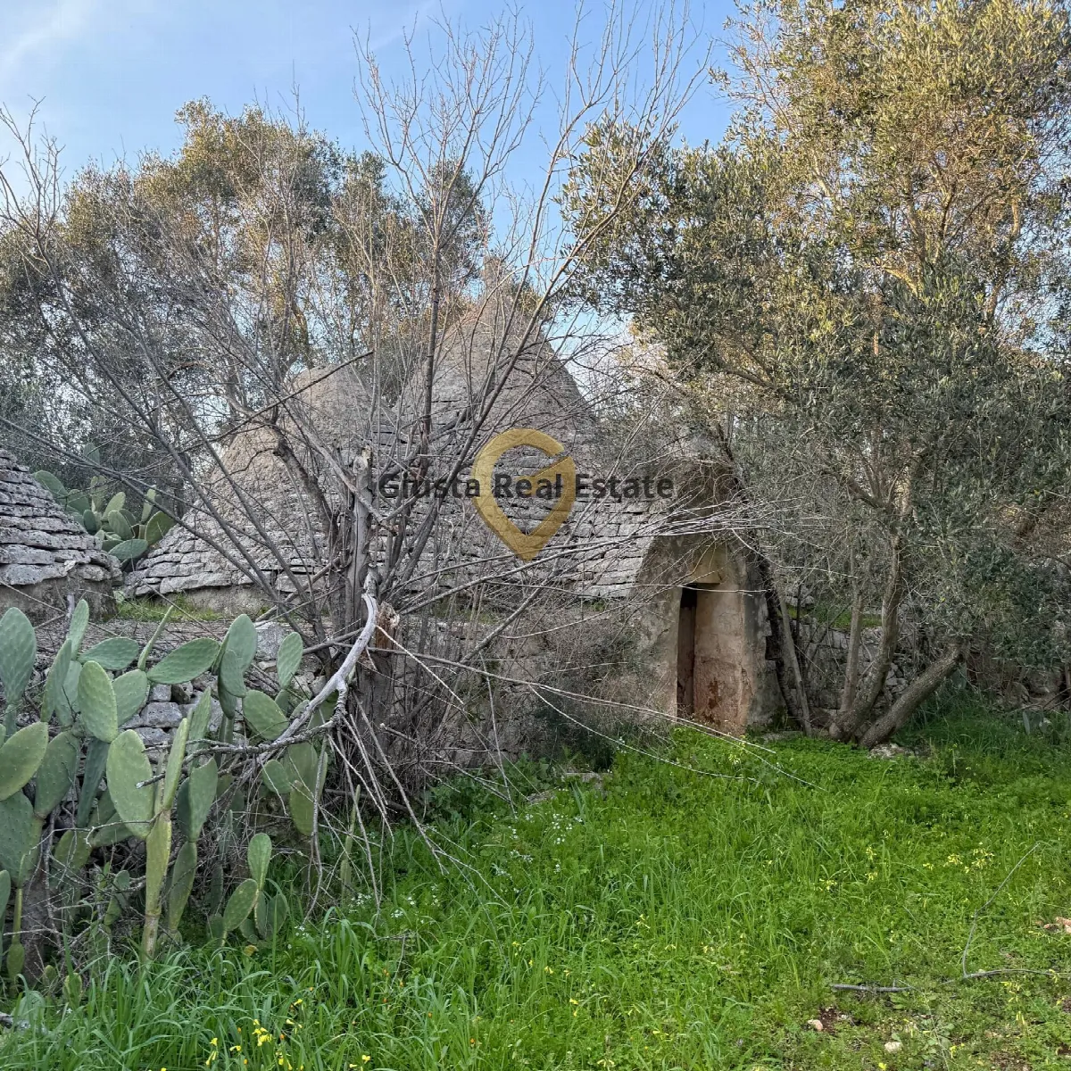 Baita/Chalet/Trullo in vendita a San Michele Salentino - foto 9