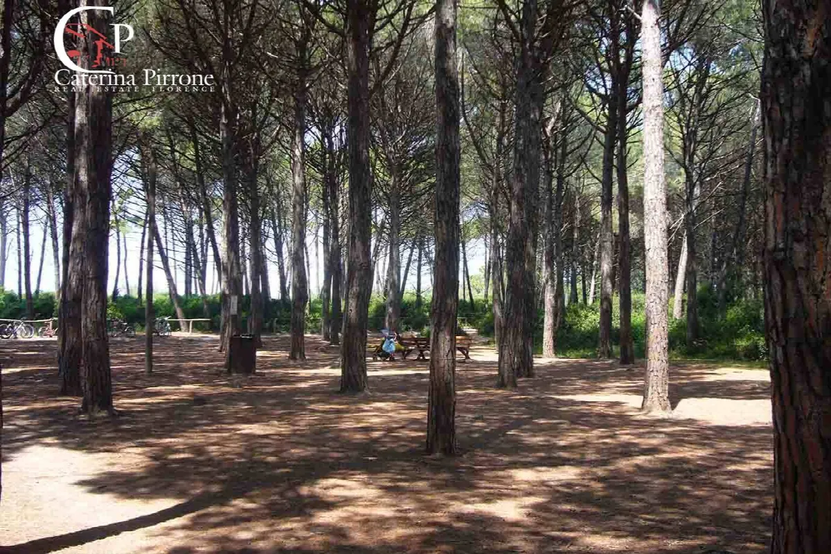 Appartamento in vendita a Rosignano Marittimo, Vada - foto 5