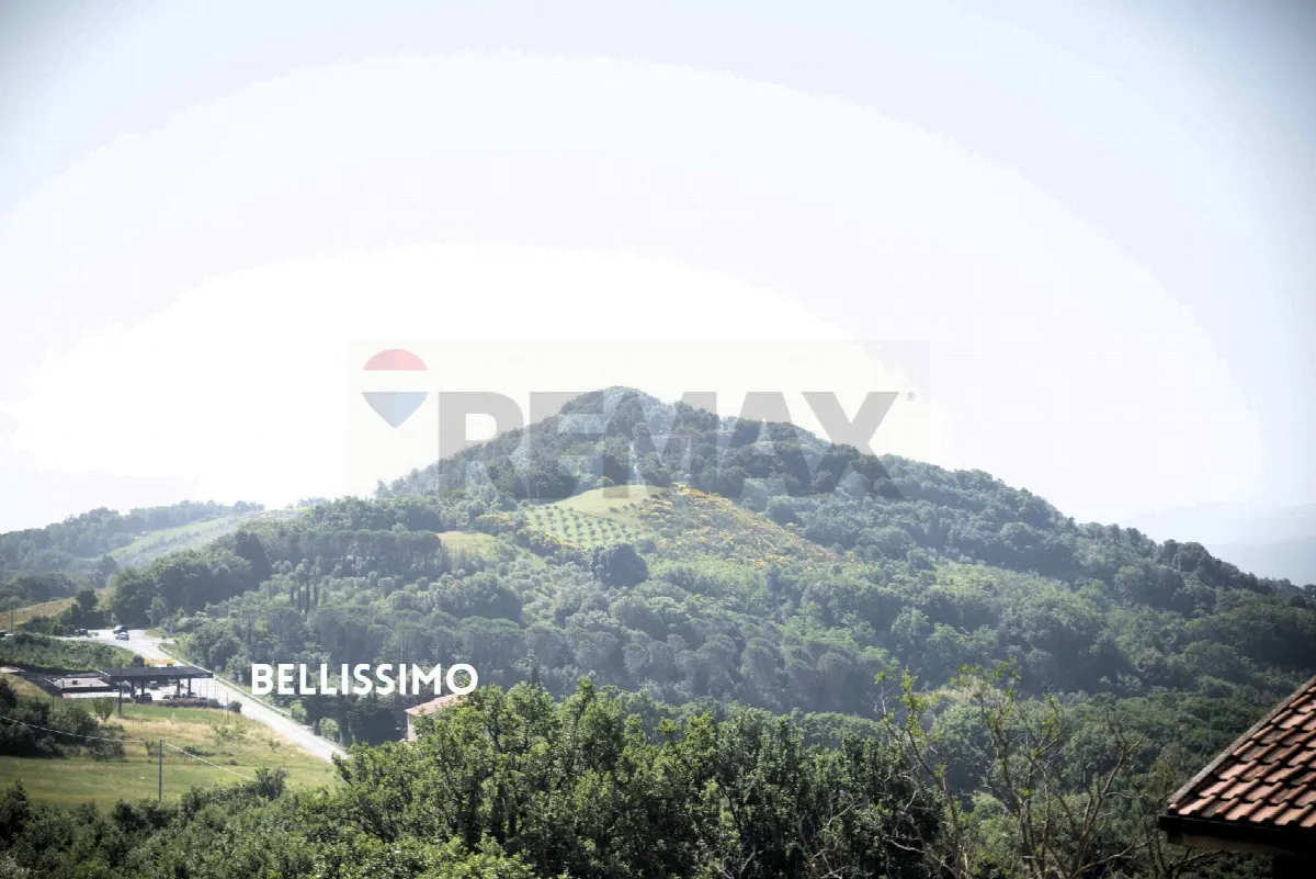 Appartamento in vendita a Roccastrada - foto 2