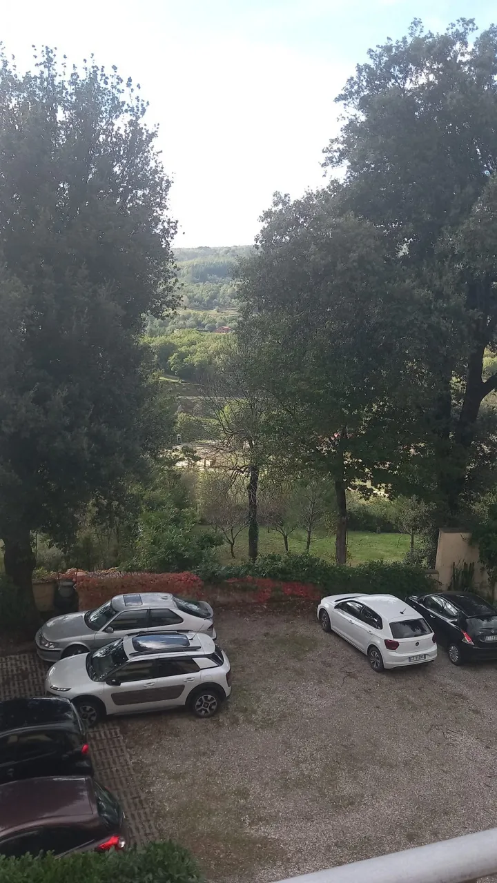Appartamento in vendita a Castel San Niccolò - foto 5