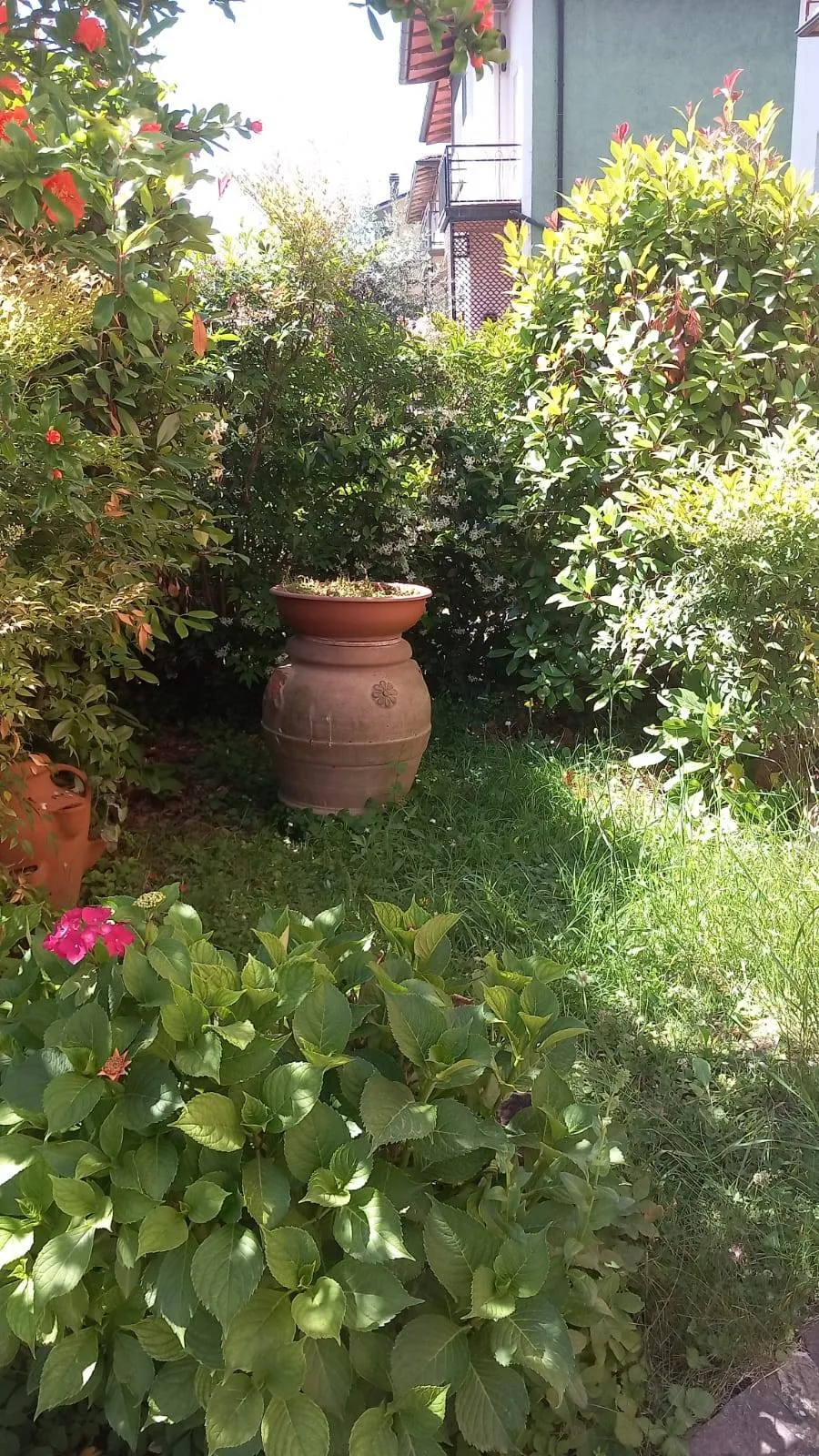 Appartamento indipendente in vendita a Bibbiena, Soci - foto 2