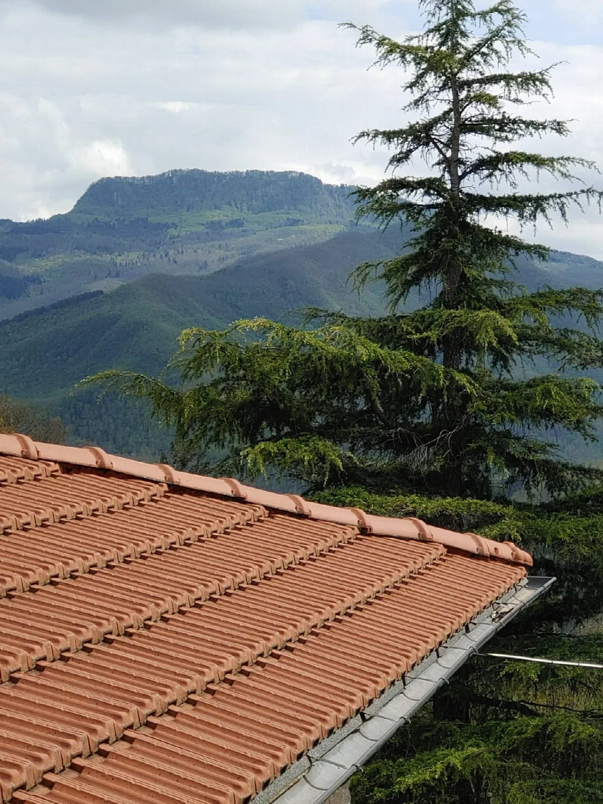 Appartamento in vendita a Chiusi della Verna - foto 4