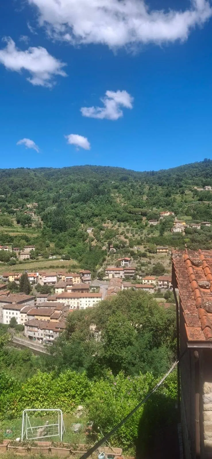 Appartamento indipendente in vendita a Castel San Niccolò - foto 8
