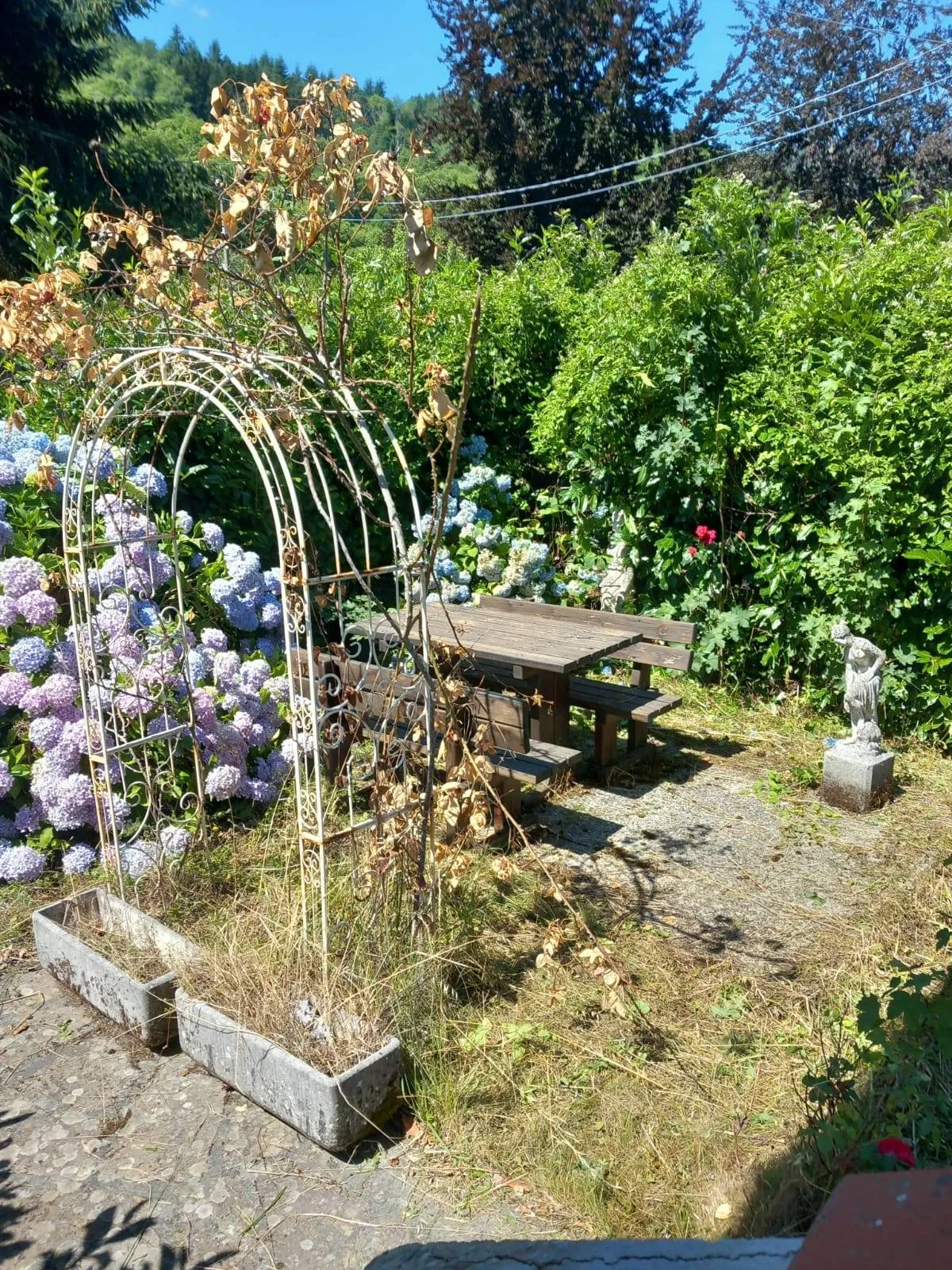 Appartamento indipendente in vendita a Montemignaio - foto 9