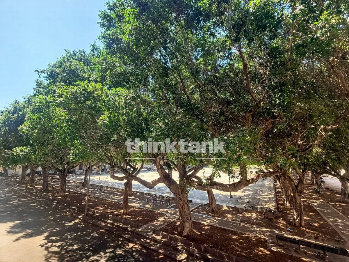 Appartamento in vendita a Siracusa, Borgata - foto 1