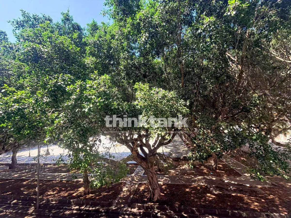 Appartamento in vendita a Siracusa, Borgata - foto 2