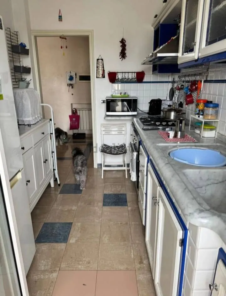 Attico in vendita a Viareggio, Terminetto - foto 4