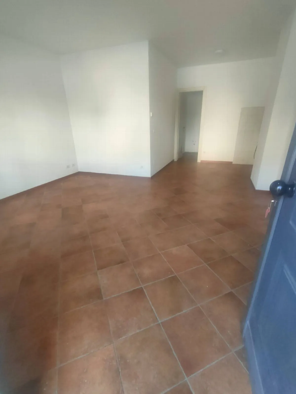 Residenziale Altro in vendita a Viareggio, Marco Polo - foto 3