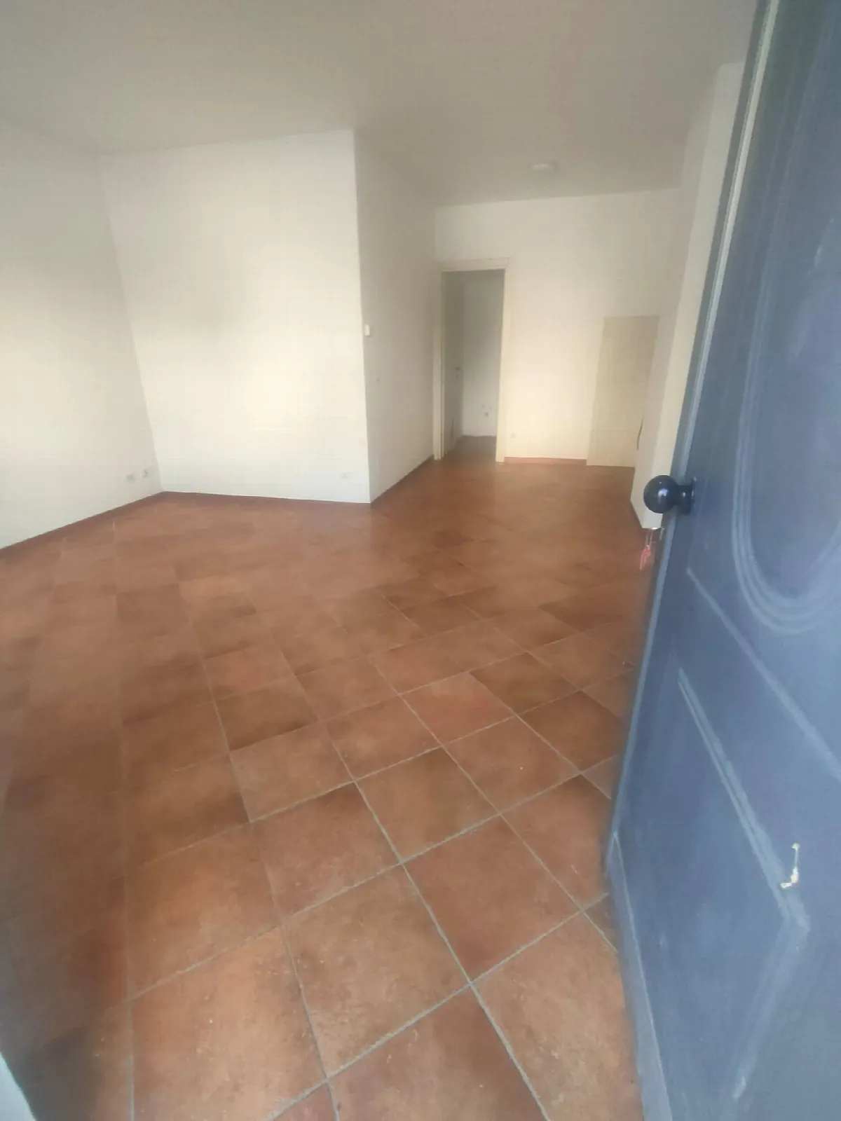 Residenziale Altro in vendita a Viareggio, Marco Polo - foto 5