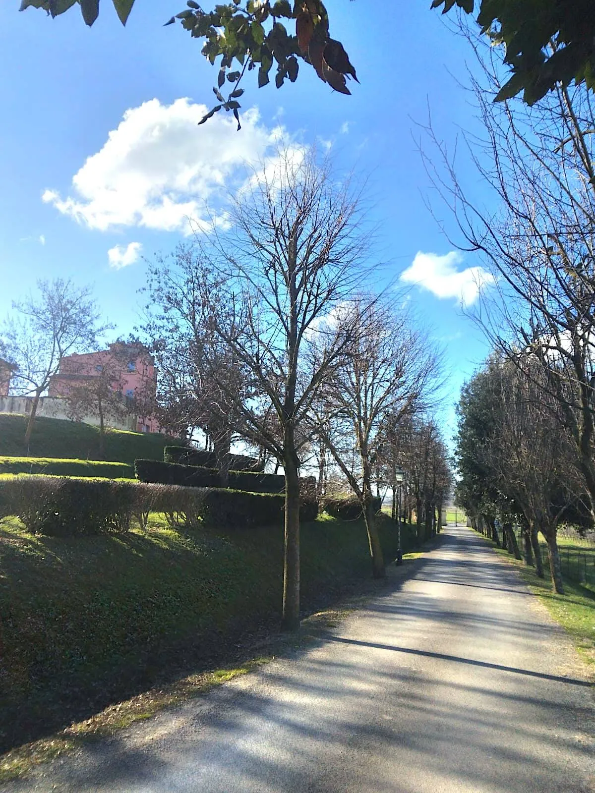 Appartamento in vendita a Arezzo, Frassineto - foto 5