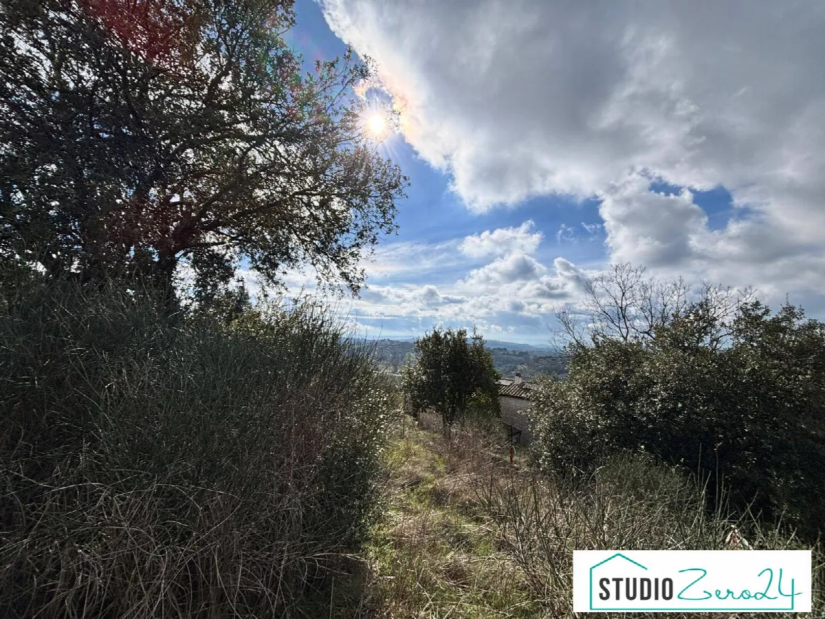 Altro in vendita a Amelia - foto 6
