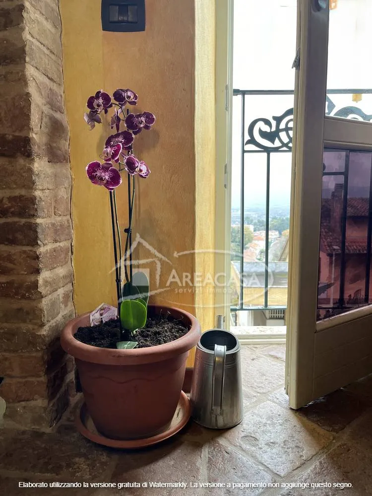 Appartamento in vendita a Spinetoli - foto 5