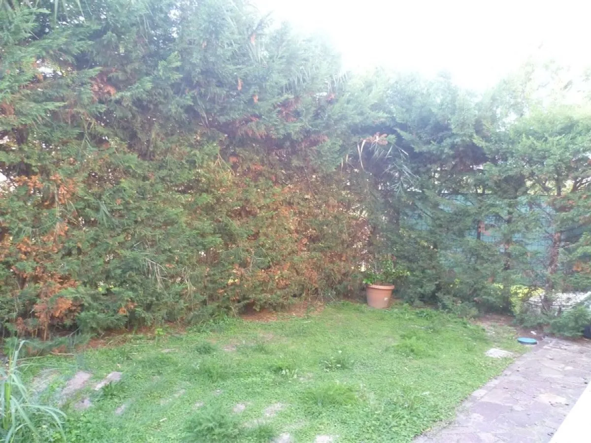 Appartamento in vendita a Cervia - foto 5