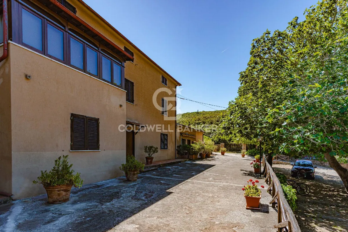 Appartamento in vendita a Orbetello - foto 3