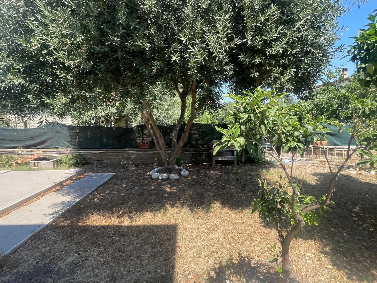 Appartamento in vendita a Pomezia, Torvaianica Alta - foto 3