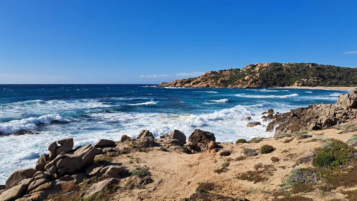 Appartamenti in vendita a Trinità d'Agultu e Vignola, Costa Paradiso - foto 3