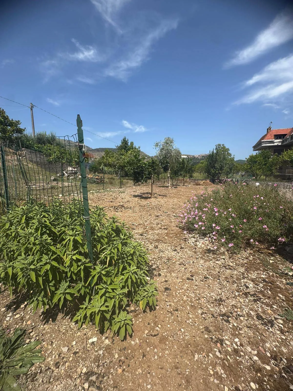 Appartamento in vendita a Castelforte, Suio - foto 5