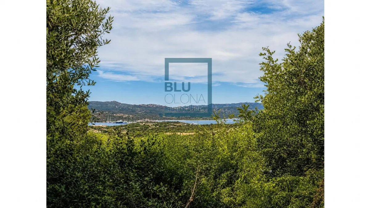 Appartamento in vendita a Olbia - foto 7