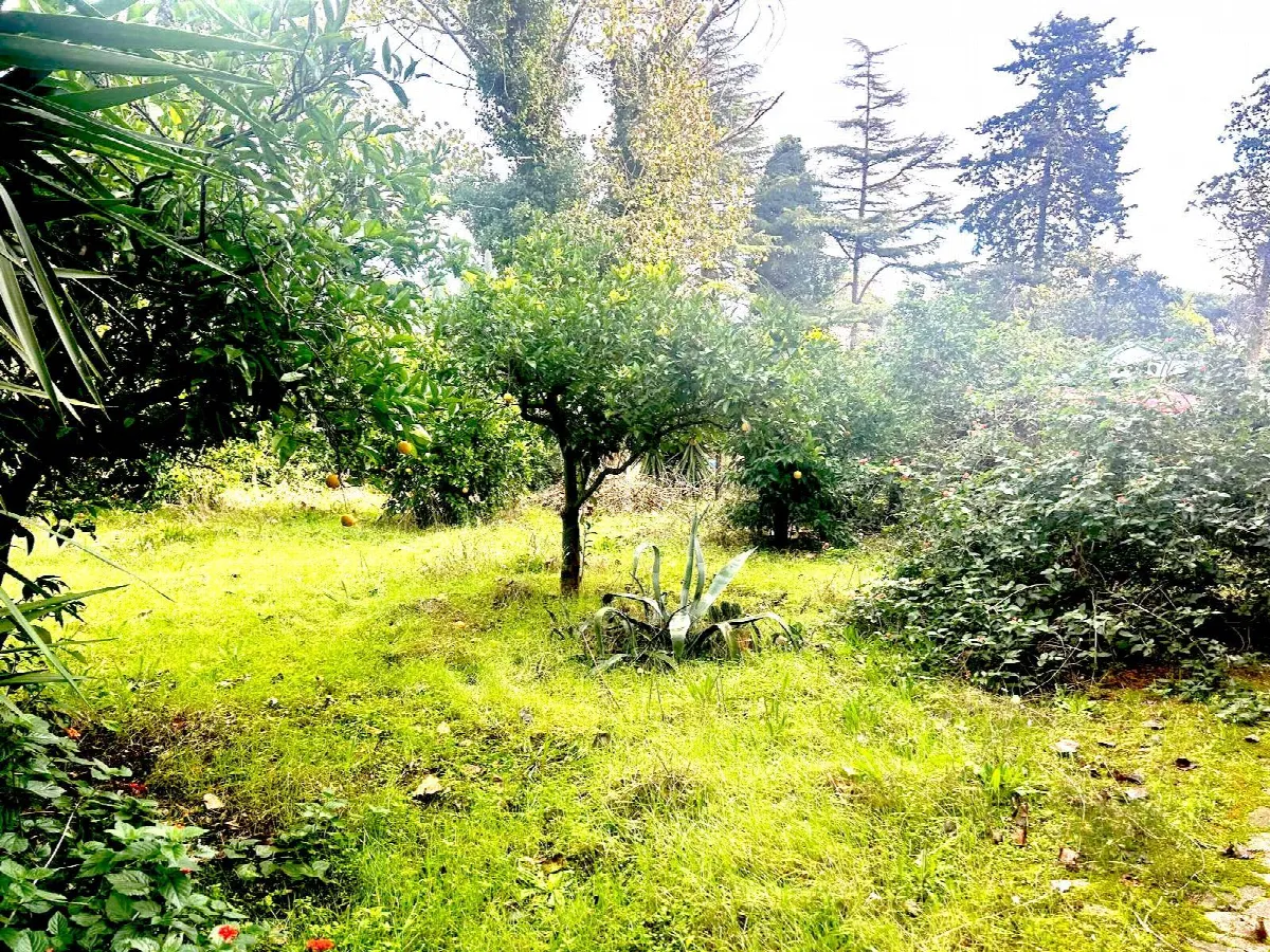 Appartamento in vendita a Fondi, Salto di Fondi - foto 7