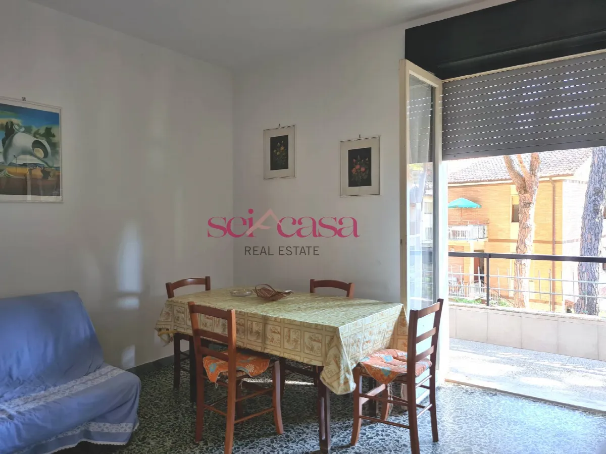 Appartamento in vendita a Grosseto, Marina di Grosseto - foto 2