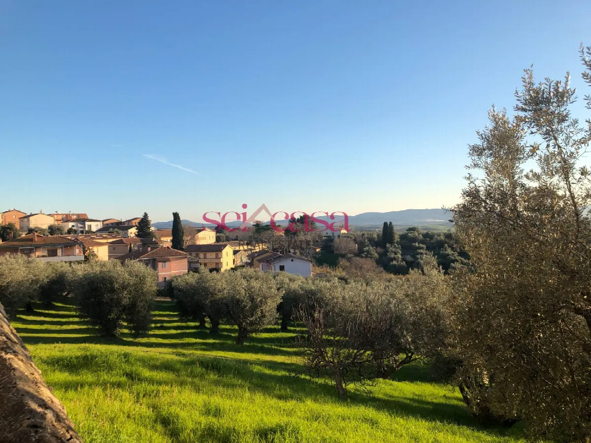 Appartamento in vendita a Magliano in Toscana - foto 10