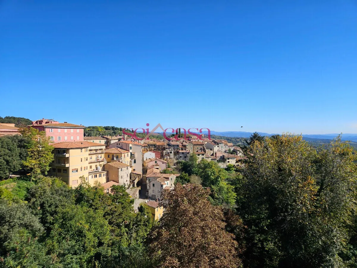 Appartamento in vendita a Scansano - foto 6