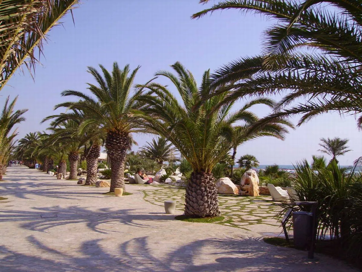 Appartamento in vendita a San Benedetto del Tronto, Centro - foto 1