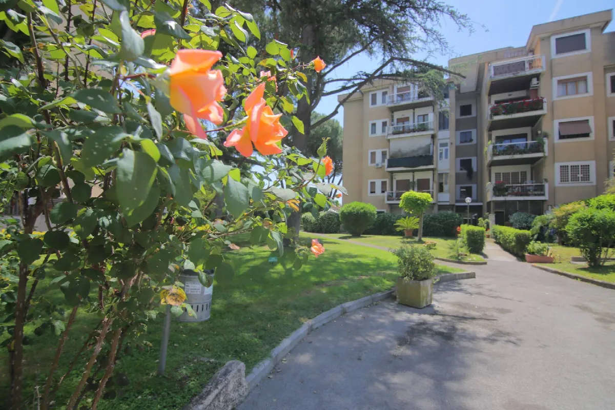 2 locali in vendita a Roma, Torvergata - foto 4