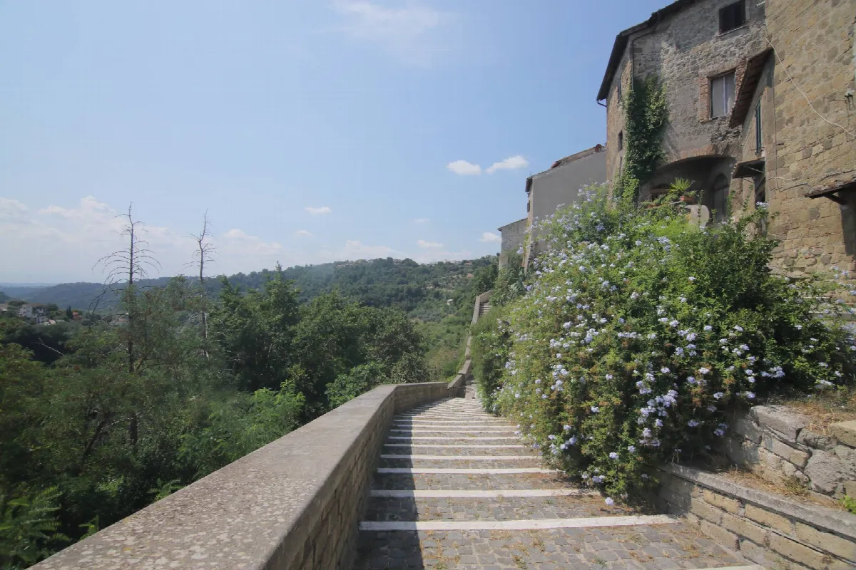 3 locali in vendita a Castelnuovo di Porto - foto 4